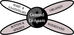 TaiChiVitaal - Gezond Lichaam - Gezonde Hart- en Vaatstelsel