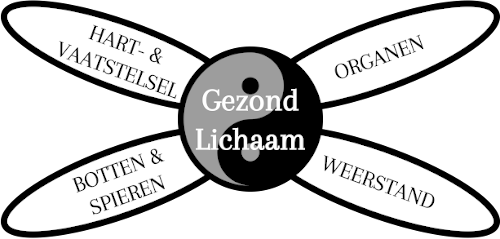 TaiChiVitaal - Gezond Lichaam - Vlinder